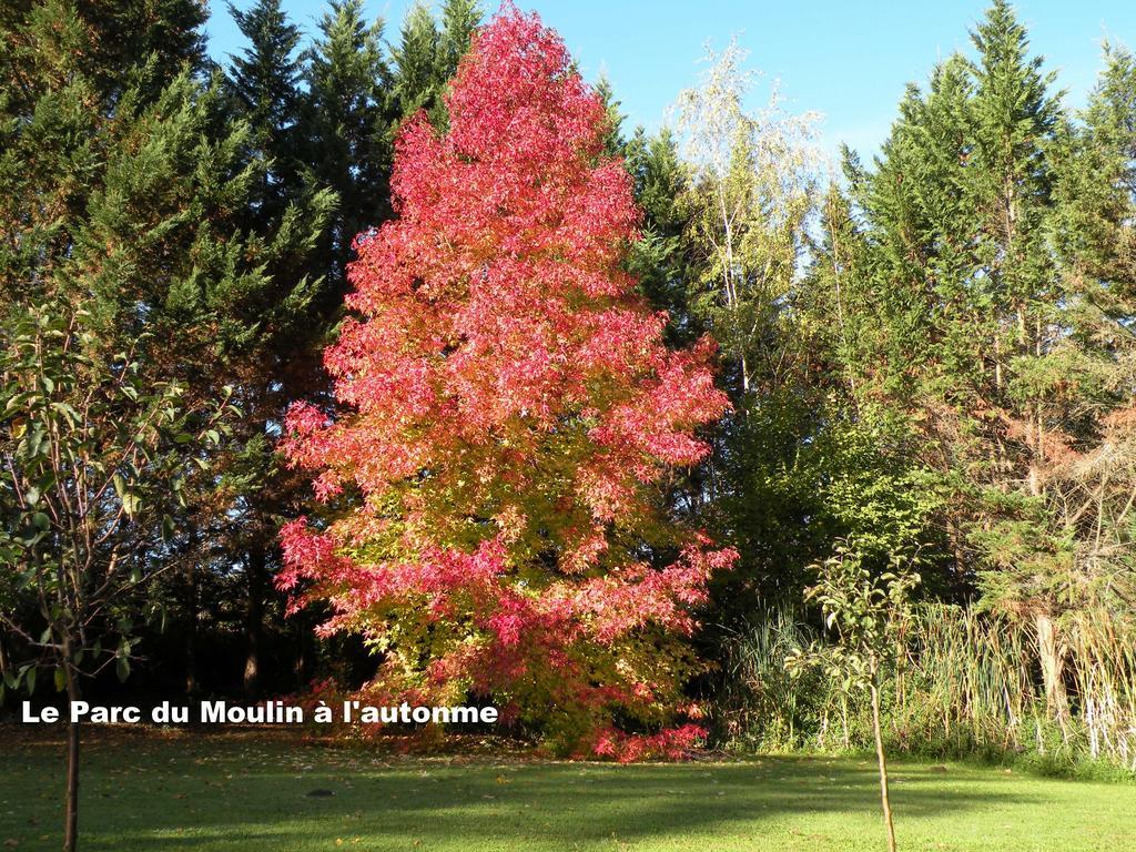 Moulin De Rioupassat Chambres D'Hotes De Charme Rauzan ภายนอก รูปภาพ