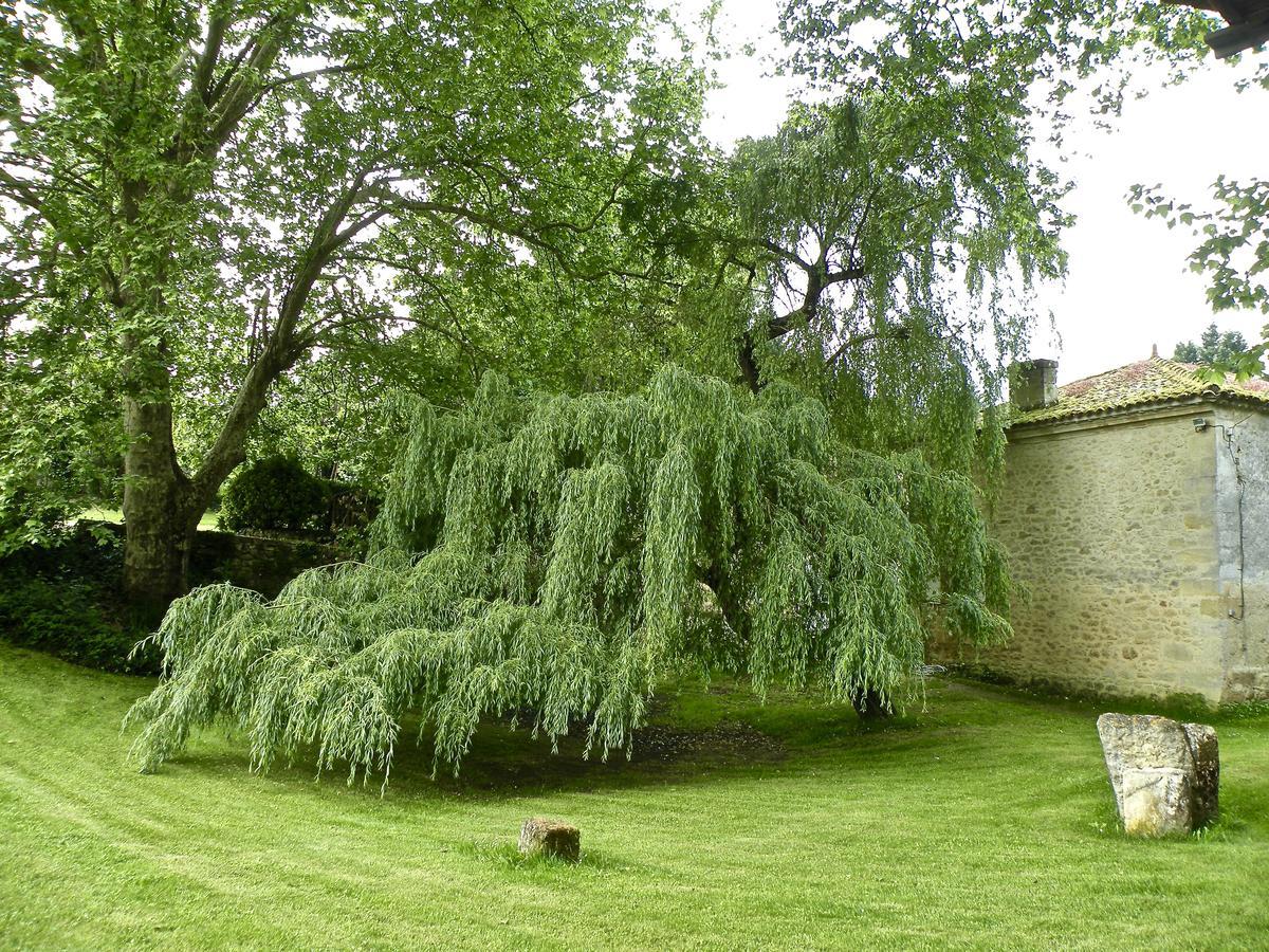 Moulin De Rioupassat Chambres D'Hotes De Charme Rauzan ภายนอก รูปภาพ